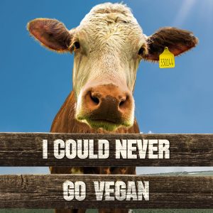 Vegan is the future: alle nieuwtjes op een rij #11