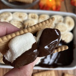 Plantaardige s'mores