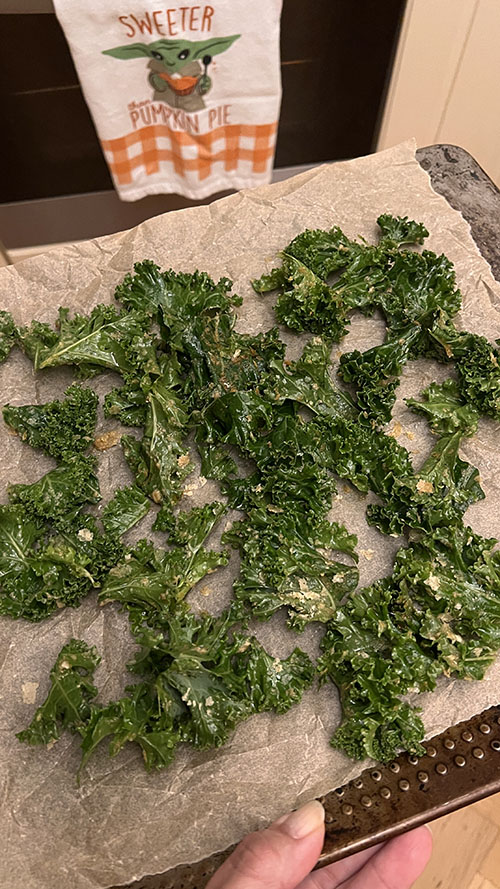 vegan boerenkool chips met olijfolie en edelgistvlokken